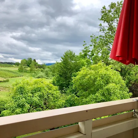 #6 Mit Balkon In Ruhiger Aber Zentrale Lage - Stadtbus Vor Der Tuer! *