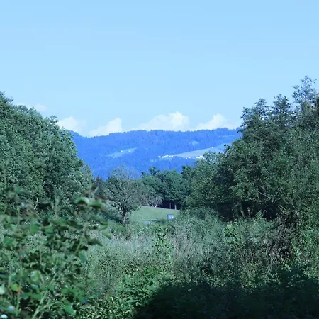 #6 Mit Balkon In Ruhiger Aber Zentrale Lage - Stadtbus Vor Der Tuer! Apartment
