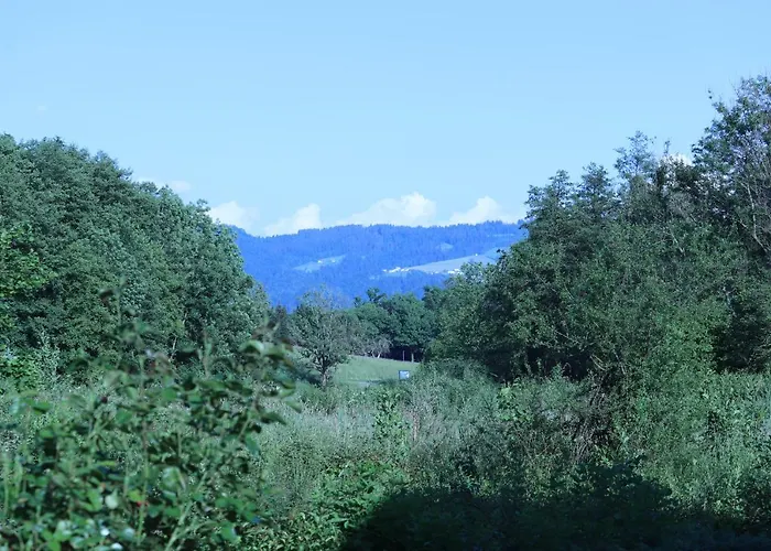 #6 Mit Balkon In Ruhiger Aber Zentrale Lage - Stadtbus Vor Der Tuer! Apartment